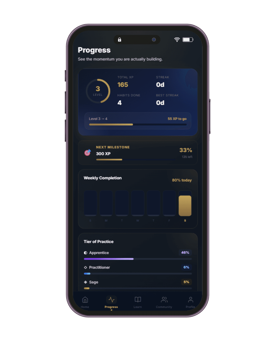 Habitra progress preview showing XP, streaks, and weekly momentum.